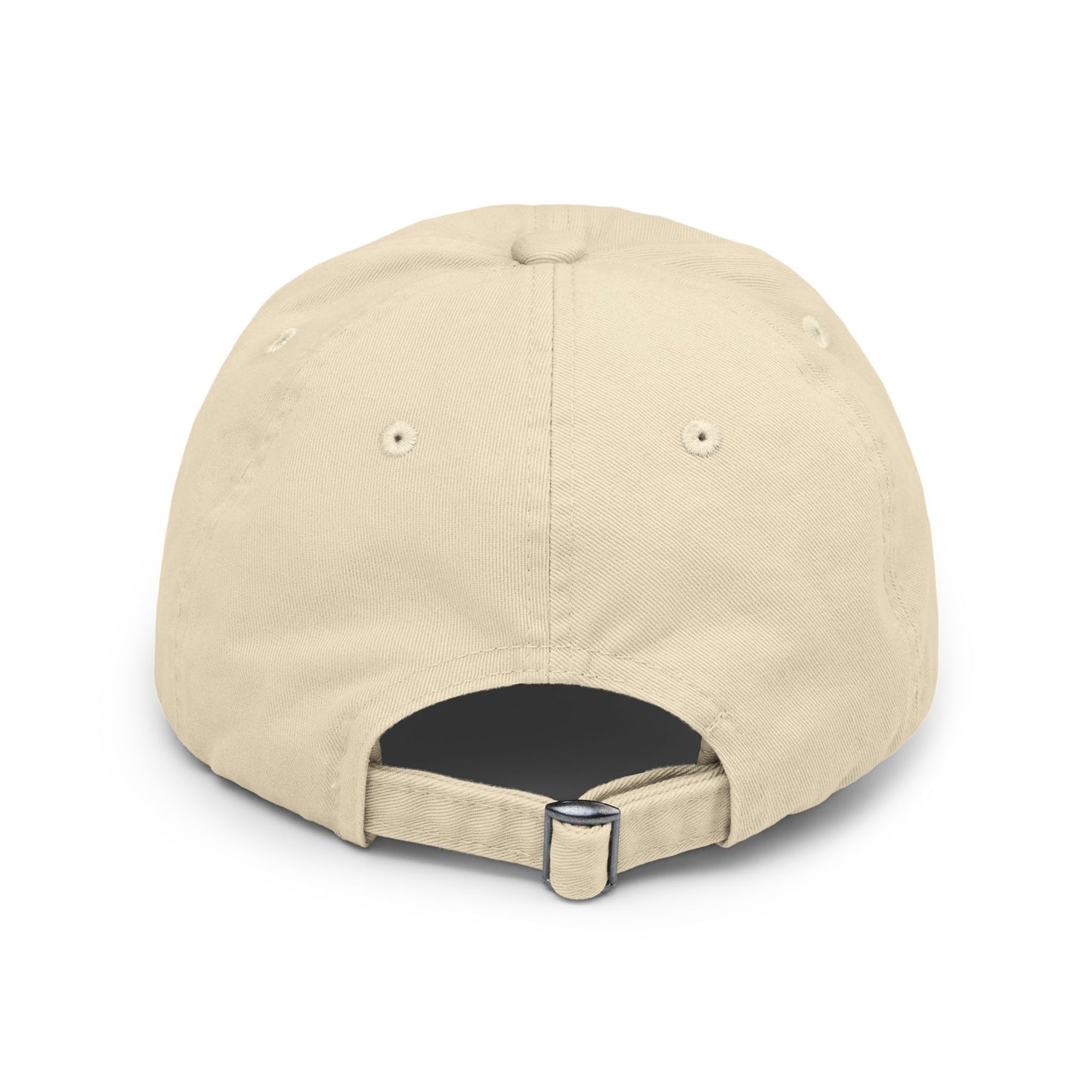 The Future Unisex Distressed Cap