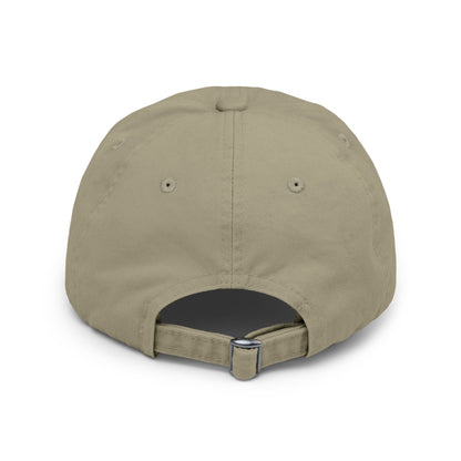 The Future Unisex Distressed Cap