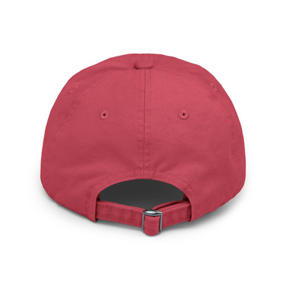 The Future Unisex Distressed Cap